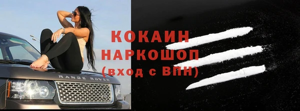 гашик Дмитриев
