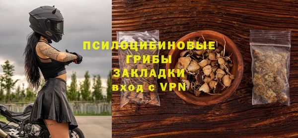 гашик Дмитриев