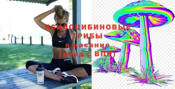 гашик Дмитриев