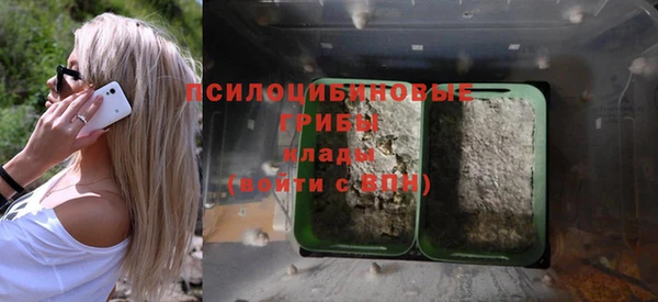 гашик Дмитриев